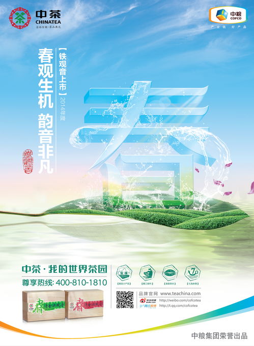 廣告設計與財務咨詢 構建品牌價值與穩健成長的雙引擎